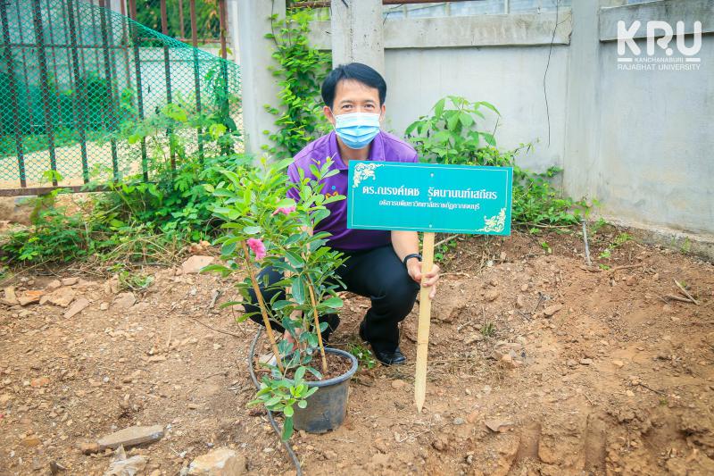 คลังภาพข่าว